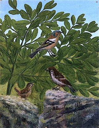 Three Birds in the Branches