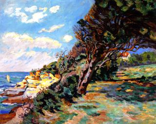 The Mediterranean Coast