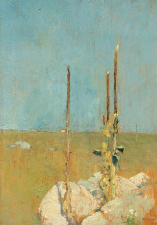 Mullein Stalks, Windham, CT