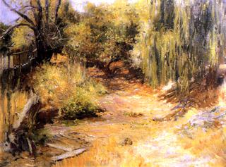 Clearing by a Willow, San Rafael