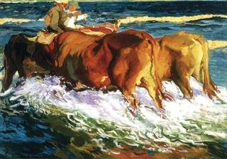 Evening Sun (study)