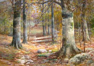 Autumn Beeches