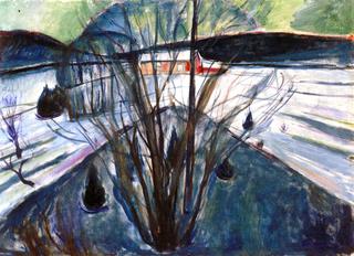 Winter Night