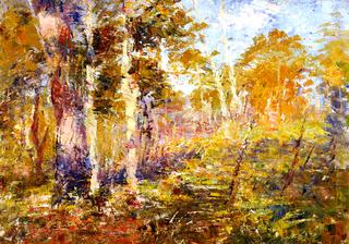 Madedon Landscape