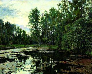 Overgrown pond. Domotkanovo