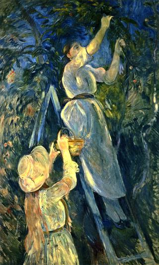 The Cherry Tree