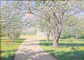 Flowering fruit trees