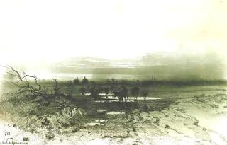 Marsh in the evening