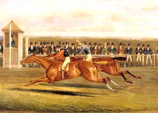 'Elis', Beating Colonel Peel's 'Slane': 300 Guineas, Newmarket