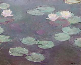Pink Water Lilies