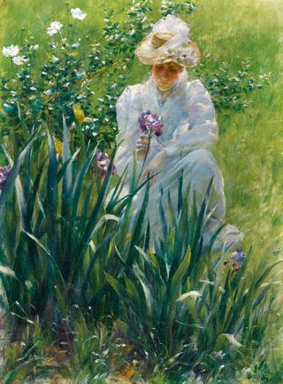 The Iris Bed
