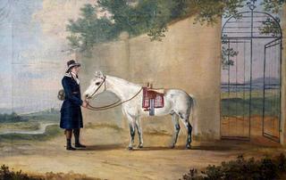 A Grey Horse and Groom Outside a Gate
