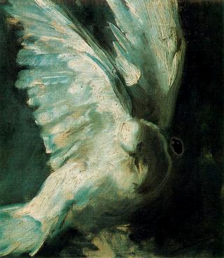 The Dove