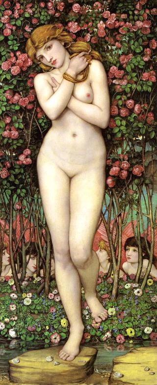Flora