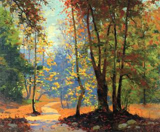 A Woodland Path