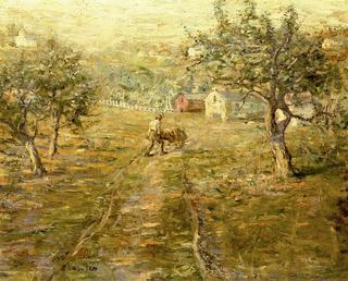 Spring Orchards