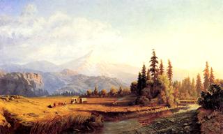 Mount Shasta