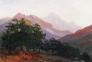 Oak Trees in Carrara Mountains
