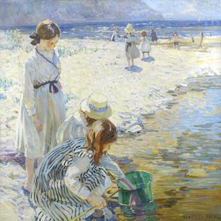 In the Shallows