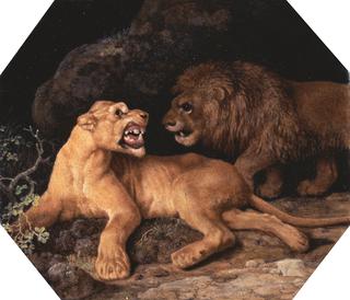 Lion and Lioness