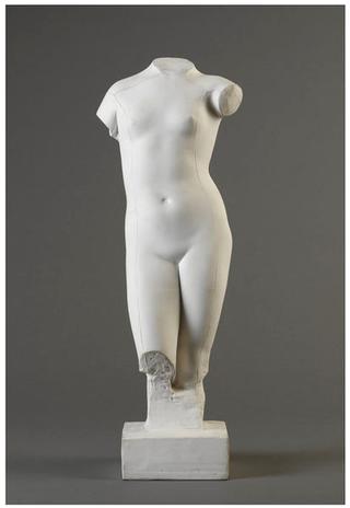Torso of a Woman