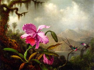 Orchids and Hummingbirds near a Mountain Lake