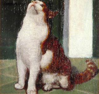 Study of a Cat
