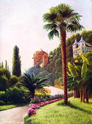 A Palm Tree
