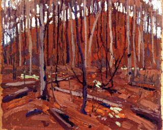 Northern Landscape