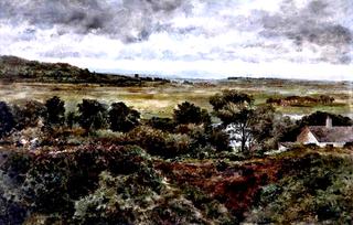 Bidston Marsh