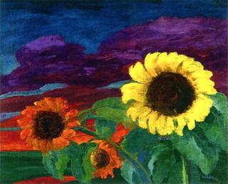 Sunflowers in the Evening Light