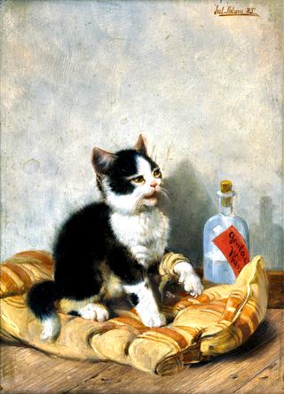 The Little Patient