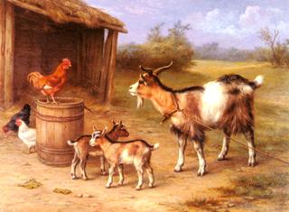 A Farmyard scene with goats and chickens