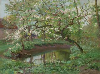 The Old Orchard