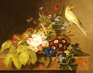 Sweet William, Forget Me Not, Convulvus and a Canary on a Ledge