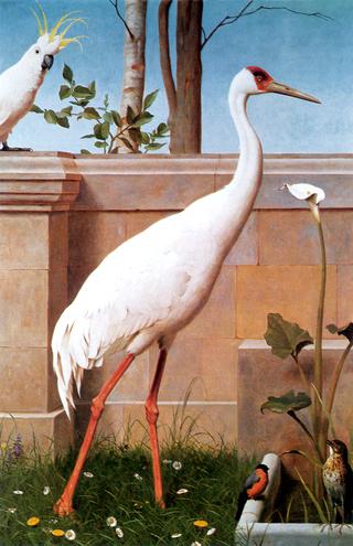 Indian Crane, Bullfinch and Thrush