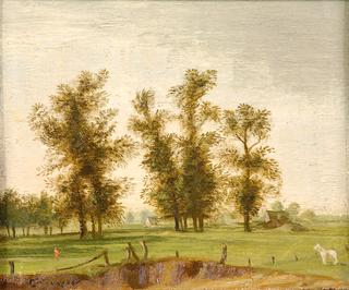 Summer Landscape
