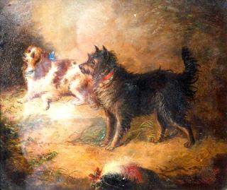 A Spaniel and a Terrier