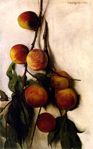 Peach Boughs
