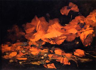 Red Poppies