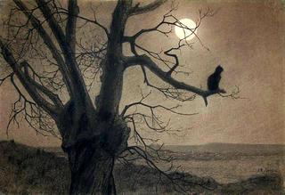 Chat au clair-de-lune