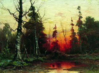 Sunset in the Forest