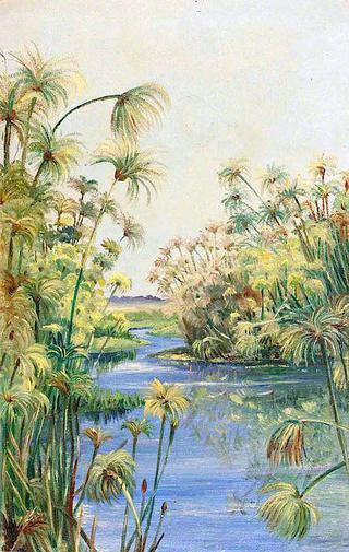 Papyrus along the River Margins
