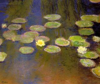 Water-Lilies