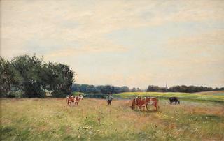 Summer Landscape