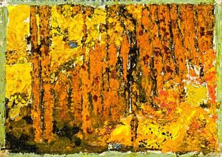 Inside a Forest