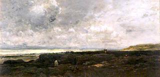 The Seashore