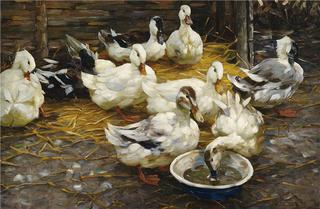 Ducks in the Straw