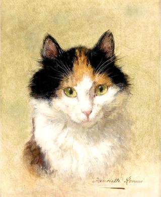 chat