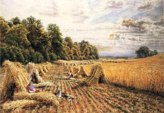 Amongst the Corn Stooks